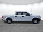 2019 F-150 Thumbnail 3