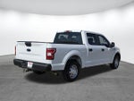2019 F-150 Thumbnail 4