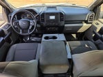 2019 F-150 Thumbnail 8