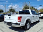 2016 F-150 Thumbnail 12