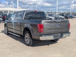 2017 F-150 Thumbnail 5
