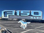 2016 F-150 Thumbnail 25