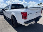 2015 F-150 Thumbnail 6