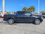2019 F-150 Thumbnail 3