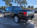 2019 F-150 Thumbnail 6