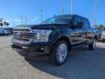 2019 F-150 Thumbnail 8