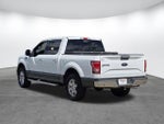 2015 F-150 Thumbnail 6