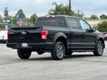 2016 F-150 Thumbnail 3