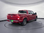 2017 F-150 Thumbnail 5