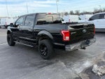 2015 F-150 Thumbnail 3