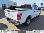 2015 F-150 Thumbnail 4