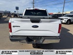 2015 F-150 Thumbnail 5