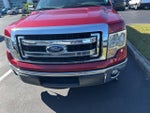 2013 F-150 Thumbnail 2