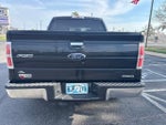 2013 F-150 Thumbnail 5