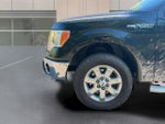 2013 F-150 Thumbnail 16