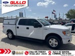 2014 F-150 Thumbnail 4