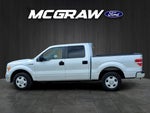 2011 F-150 Thumbnail 8
