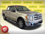 2013 F-150 Thumbnail 1