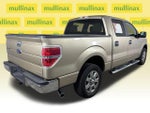 2013 F-150 Thumbnail 4