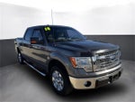2014 F-150 Thumbnail 8