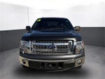 2014 F-150 Thumbnail 9