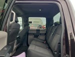 2020 F-150 Thumbnail 12