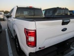 2020 F-150 Thumbnail 4