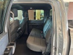 2021 F-150 Thumbnail 11