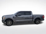 2021 F-150 Thumbnail 10