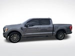 2021 F-150 Thumbnail 11