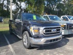 2023 F-150 Thumbnail 6