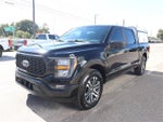 2023 F-150 Thumbnail 4