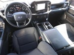 2023 F-150 Thumbnail 7