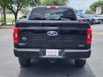 2023 F-150 Thumbnail 4