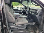 2023 F-150 Thumbnail 12
