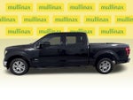 2016 F-150 Thumbnail 12