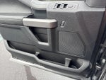 2019 F-150 Thumbnail 11