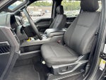 2019 F-150 Thumbnail 12