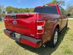 2019 F-150 Thumbnail 4