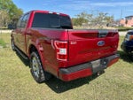 2019 F-150 Thumbnail 8