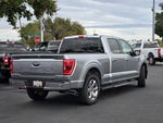 2021 F-150 Thumbnail 4