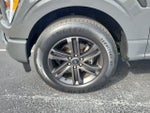 2021 F-150 Thumbnail 5