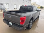 2021 F-150 Thumbnail 6