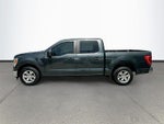2021 F-150 Thumbnail 4