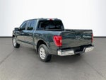 2021 F-150 Thumbnail 5
