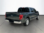 2021 F-150 Thumbnail 7