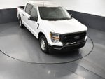 2021 F-150 Thumbnail 19