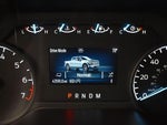 2021 F-150 Thumbnail 35
