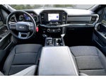 2023 F-150 Thumbnail 6