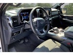2023 F-150 Thumbnail 14